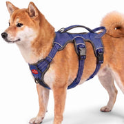 Tuff Pupper vue avant du harnais montrant maintien et sécurité