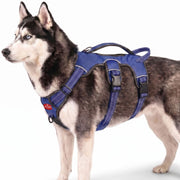 Tuff Pupper vue avant du harnais montrant maintien sécurisé et confort