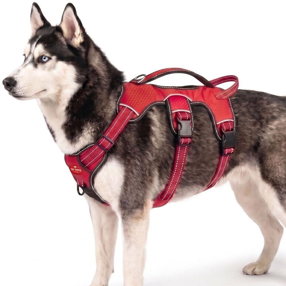 Tuff Pupper vue frontale du harnais montrant maintien et sécurité
