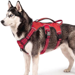 Tuff Pupper vue frontale du harnais montrant maintien et sécurité