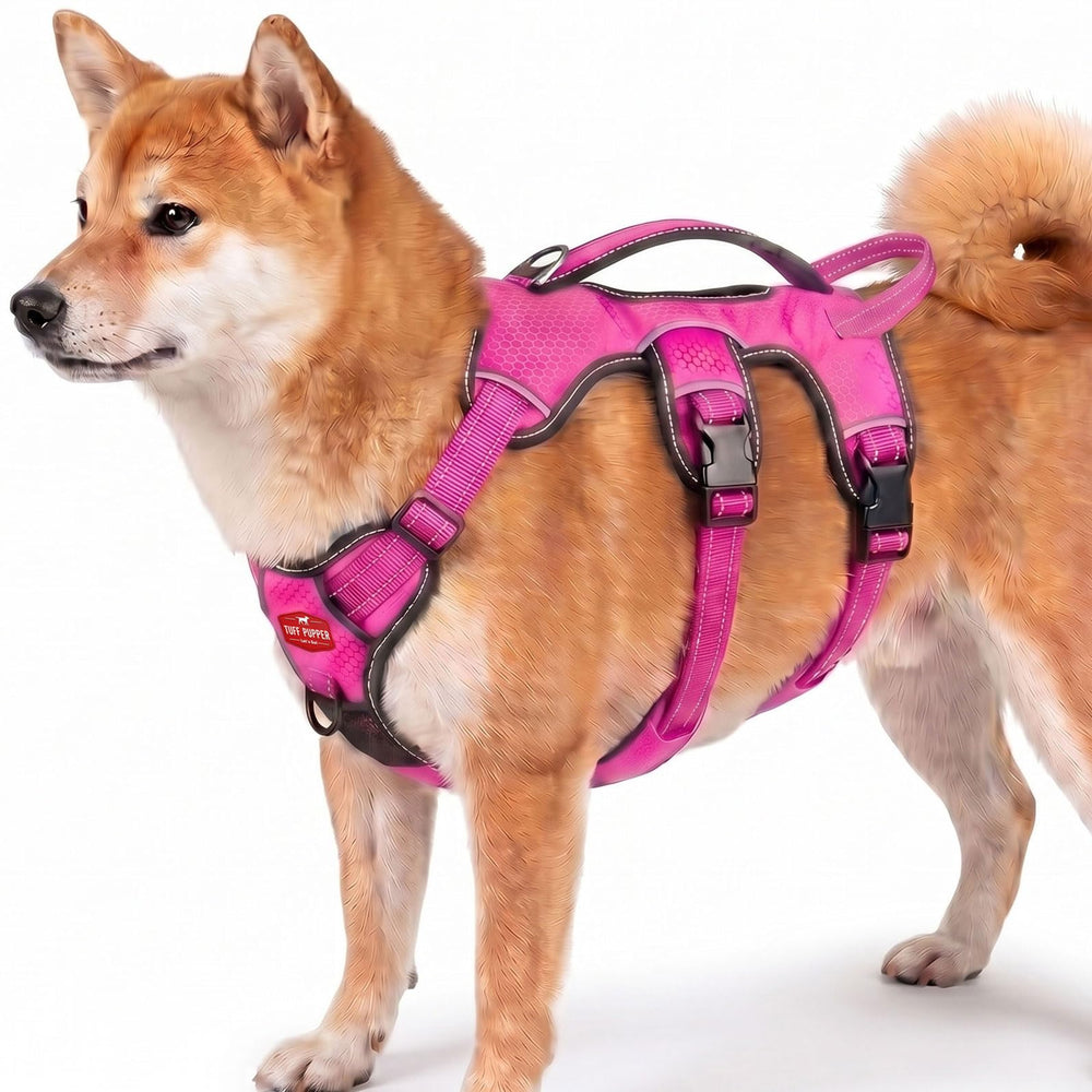 Tuff Pupper harnais face montrant coupe antifuire et maintien sûr