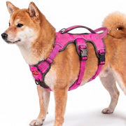 Tuff Pupper harnais face montrant coupe antifuire et maintien sûr