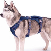 Tuff Pupper vue de face montrant coupe sécurisée et confort