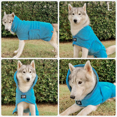 Tuff Pupper peignoir porté par chien après bain, maintien confortable