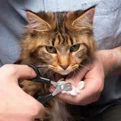 Tweezerman en usage coupant griffe de chat pour sécurité