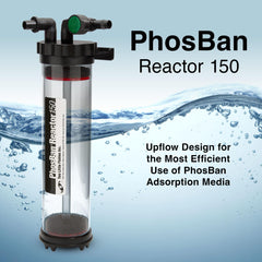 Two Little Fishies gros plan plaque de dispersion pour distribution d'eau uniforme