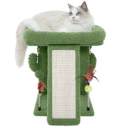 TWDEPART arbre cactus face montrant design et gain de place
