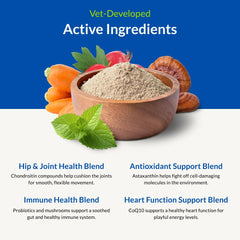 ULTIMATE PET NUTRITION gros plan poudre Nutra Thrive bénéfice apport nutritif concentré