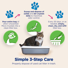ULTRA gros plan sur pattes de chat montrant douceur et confort