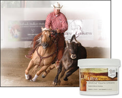 UltraCruz application sur flanc de cheval pour nettoyage et confort local