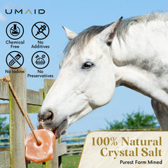 UMAID bloc suspendu sur corde en utilisation par un cheval, offre minéraux accessibles