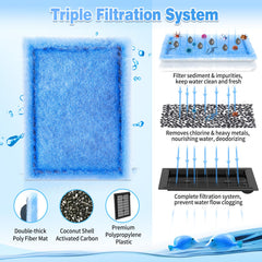 Umlecoa gros plan charbon actif coque noix de coco pour meilleure adsorption