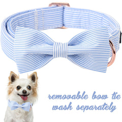 Unique Style Paws gros plan du tissu en coton montrant douceur et qualité