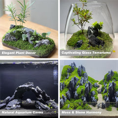 Unocho Seiryu Rock dans aquarium avec plantes montrant esthétique naturelle
