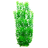 unootel plante aquarium vue frontale haute apportant cachette et verticalité