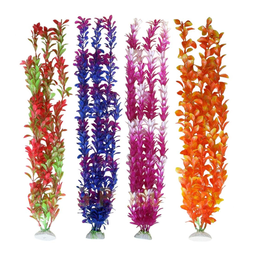 unootel plante d'aquarium vue de face apporte structure et cachettes naturelles