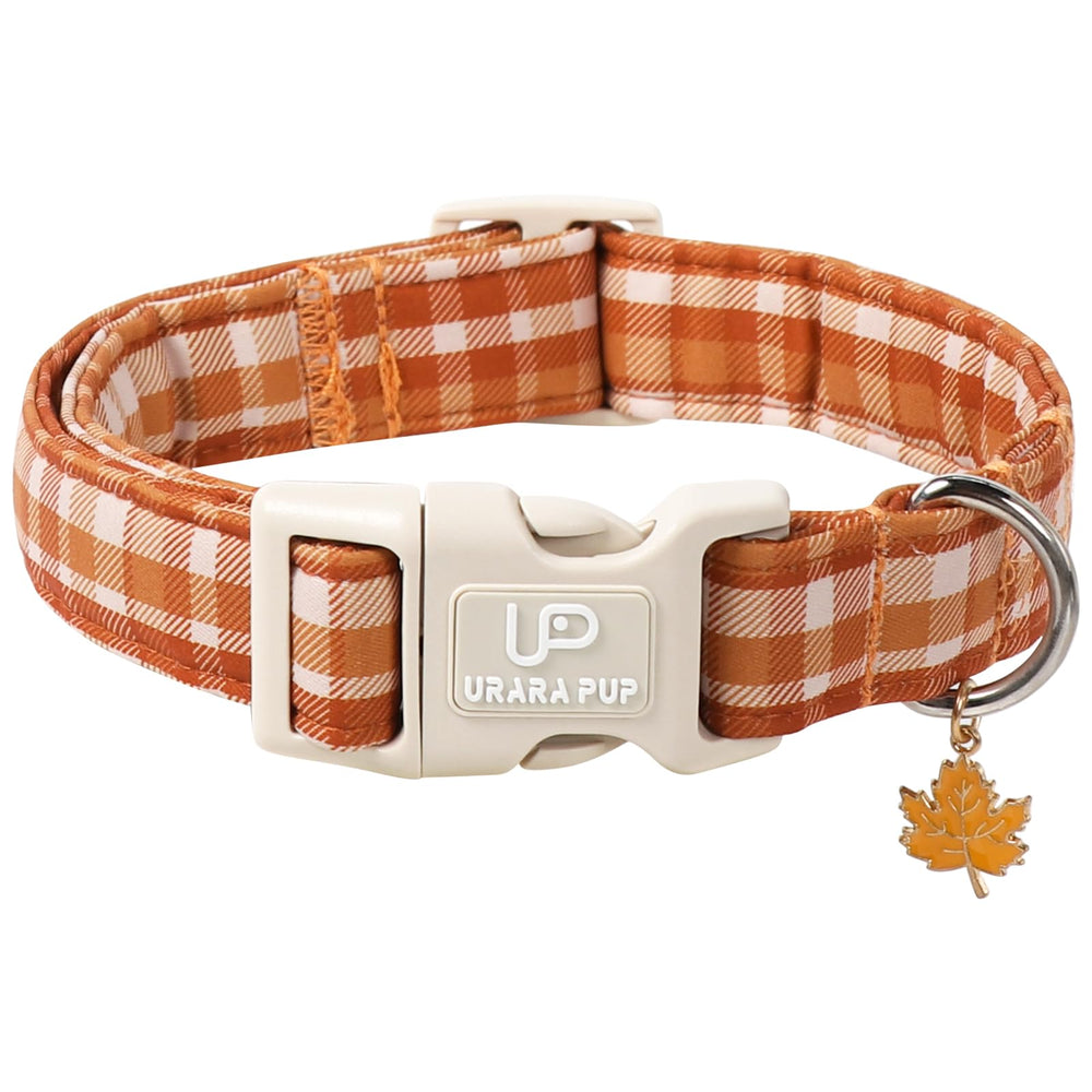 UP URARA PUP collier automne face montrant élégance et confort