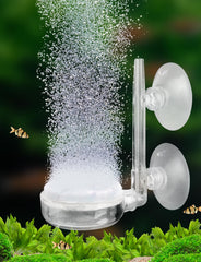 UPETTOOLS disque 35 mm gros plan montrant pores et production de micro-bulles