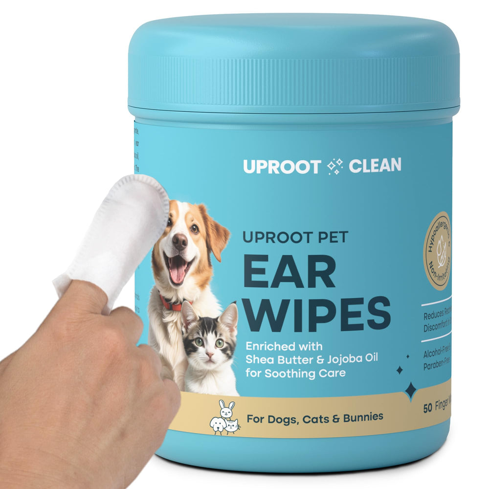 Uproot Clean emballage face présentant le paquet pratique et les 50 lingettes