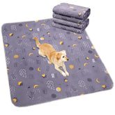 UPSKY vue frontale du lot de 2 tapis, protection durable pour sols