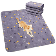 UPSKY vue frontale du lot de 2 tapis, protection durable pour sols