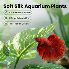 UreverFins gros plan feuilles soyeuses sans bords coupants pour nageoires sûres