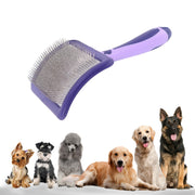 UXIETIN brosse face avant montrant la qualité et le design ergonomique