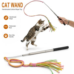 uyiixoxo souris à cataire attirant l'odorat pour plus d'activité