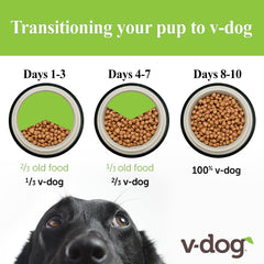 V-dog gros plan sur texture de croquette apportant croquant et appétence