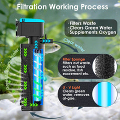 VCRAZE filtre U - V gros-plan éponge montrant capture efficace des débris