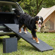Veehoo rampe face entière montrant l incline et espace pour chien