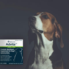 Vet One Advita versé sur nourriture montrant mélange discret et acceptation