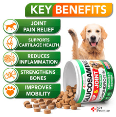 Vet Promise gros plan friandise mastiquable texture appétente