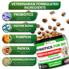 Vet Promise texture du comprimé illustrant ingrédients naturels et qualité
