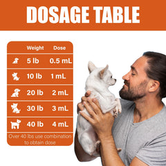 VetaSure administration chez chat facilitée par la solution liquide et la précision