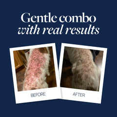 Veterinary Formula spray bouteille gros plan pour application facile entre bains