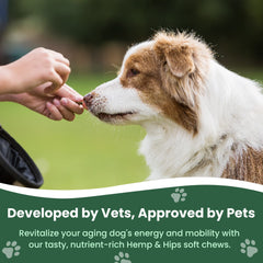 Gros plan sur la texture des chews Veterinary Naturals, facile à mâcher pour seniors