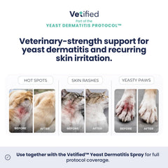 VETIFIED étiquette zoom ingrédients affiche kétoconazole et chlorhexidine pour traitement