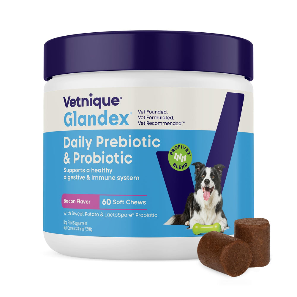 Vetnique Glandex boîte avant montrant 60 chews pour administration facile