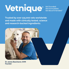 Vetnique Glandex détail bromélaïne montrant support enzymatique digestif