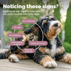 Vetnique Oticbliss en utilisation sur chien nettoyant plis et réduisant odeurs