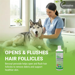 Vetoquinol application sur chien pour dégraisser et apaiser la peau
