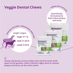 Vetradent texture poreuse visible pour un nettoyage mécanique des dents