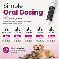 VETRISCIENCE administration à un chien illustrant facilité d'utilisation et confort