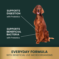 VETRISCIENCE chien acceptant friandise, améliore confort digestif