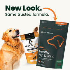 VETRISCIENCE gros plan sur la croquette montrant texture appétente pour chiens