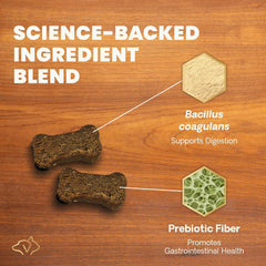 VETRISCIENCE croquette saveur canard montrant attractivité gustative