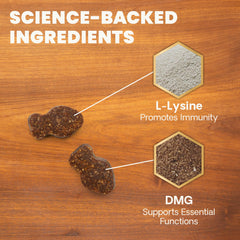 VETRISCIENCE chew tenu en main, dose pratique et portionnable