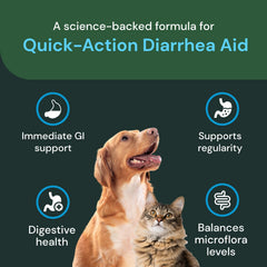 VETRISCIENCE administration chez chien facilitant prise sans stress