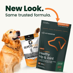 VETRISCIENCE texture du masticable affichant appétence et facilité à mâcher